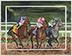 2017 Breeders Cup at Del Mar III